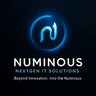 Numinous Nextgen It Solutions Logo